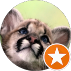 Отзыв о компании "Территория Закона"